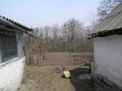 ������ ��� ���������. ������ (�������) ���� 5