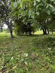 Продам будинок під еко проект в тихому місці фото 3 Продам будинок під еко проект в тихому місці фото 3