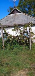 Продаж земельної ділянки, з старим будинком. фото 2 Продаж земельної ділянки, з старим будинком. фото 2