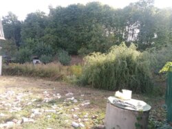 ������ ���� � �������� ������� ���� 2