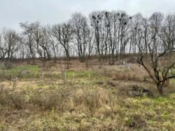 ������ ������� � ����������� ���� 5