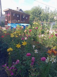 ������ ������� ����������� ������� ��� ������ ������, ����� ������������� ���� 4