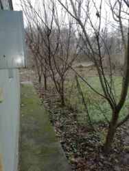 Пропонується до продажу затишний будинок у районі Заріччя фото 6 Пропонується до продажу затишний будинок у районі Заріччя фото 6