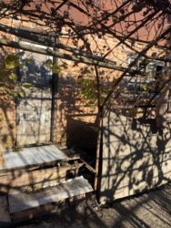 ��������� ������� ���� 1