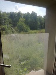 Пропонується до продажу затишний будинок у районі Заріччя фото 11 Пропонується до продажу затишний будинок у районі Заріччя фото 11