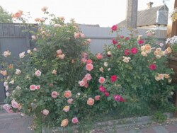 ������ ������� ����������� ������� ��� ������ ������, ����� ������������� ���� 16