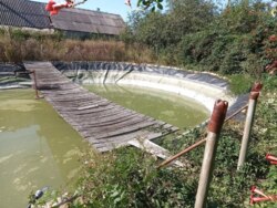 ������ ������� ���� 2