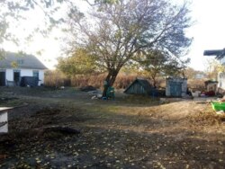 ������ ���� � ������������ ������, ������� ������. ���� 2