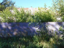 ������ �� �� ������ �������� �� ���� - ����� ���� (41 ���) ���� 3