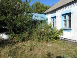 ������ �� �� ������ �������� �� ���� - ����� ���� (41 ���) ���� 1