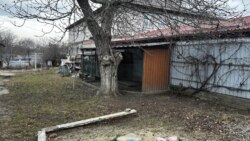 ������ ������� � �.���� ������ ���� 1