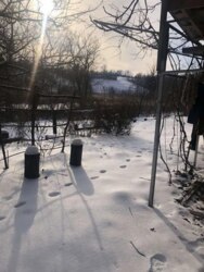 Продаж дачі тихе місце фото 5 Продаж дачі тихе місце фото 5