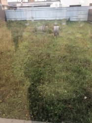 Продається будинок Вінницька, Вінницький, Зарванці, Мирна фото 13 Продається будинок Вінницька, Вінницький, Зарванці, Мирна фото 13