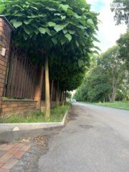 Продається будинок Вінницька, Вінниця, Тяжилів фото 3 Продається будинок Вінницька, Вінниця, Тяжилів фото 3