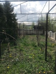 Продається будинок Вінницька, Вінницький, Якушинці фото 5 Продається будинок Вінницька, Вінницький, Якушинці фото 5