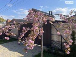 Продається будинок Вінницька, Вінниця, Центр, 1-й пров.Миколи Хвильового фото 2 Продається будинок Вінницька, Вінниця, Центр, 1-й пров.Миколи Хвильового фото 2