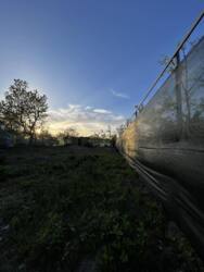 Продається будинок Вінницька, Вінниця, Щітки фото 2 Продається будинок Вінницька, Вінниця, Щітки фото 2