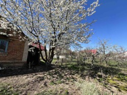 Продається будинок Вінницька, Вінницький, Агрономічне, Вінницька фото 5 Продається будинок Вінницька, Вінницький, Агрономічне, Вінницька фото 5