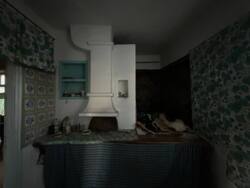 Продається будинок Вінницька, Літинський, Дашківці, Вишнева фото 11 Продається будинок Вінницька, Літинський, Дашківці, Вишнева фото 11