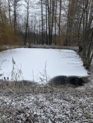 Продається будинок Вінницька, Тиврівський, Селище фото 20 Продається будинок Вінницька, Тиврівський, Селище фото 20