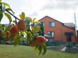 Продається будинок Вінницька, Вінниця, Старе місто, Юхима Сіцінського (С. Наливайка) фото 4 Продається будинок Вінницька, Вінниця, Старе місто, Юхима Сіцінського (С. Наливайка) фото 4