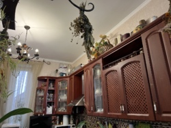 Продається будинок Вінницька, Вінниця, Гніванський провулок фото 7 Продається будинок Вінницька, Вінниця, Гніванський провулок фото 7