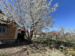 Продається будинок Вінницька, Вінницький, Агрономічне, Вінницька фото 4 Продається будинок Вінницька, Вінницький, Агрономічне, Вінницька фото 4