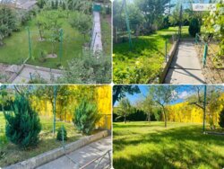 ��������� ������� ���������, ³�����, ³�������, �������� ���� 3