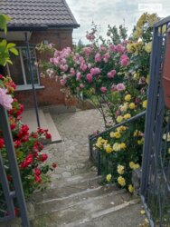 Продається будинок Вінницька, Вінниця, Старе місто, лютневої революціі фото 4 Продається будинок Вінницька, Вінниця, Старе місто, лютневої революціі фото 4