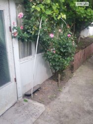 ��������� ������� ������, �����������, ³������� ���� 12