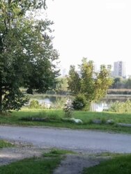 Продається будинок Вінницька, Вінниця, Пирогово, Подільська фото 5 Продається будинок Вінницька, Вінниця, Пирогово, Подільська фото 5