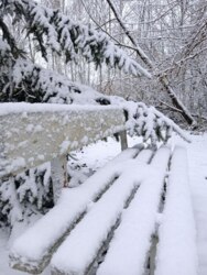 ��������� ������� ������, ³�����, ³�������, ������� ���� ���� 10