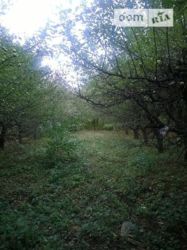 Продається будинок Вінницька, Барський, Ялтушків фото 5 Продається будинок Вінницька, Барський, Ялтушків фото 5