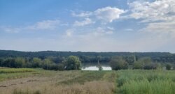 Продається будинок Вінницька, Тиврівський, Селище фото 20 Продається будинок Вінницька, Тиврівський, Селище фото 20