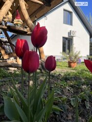 Продається будинок Oльги Кбилянськї, Вінниця, Вінницька, П'ятничани фото 1 Продається будинок Oльги Кбилянськї, Вінниця, Вінницька, П'ятничани фото 1