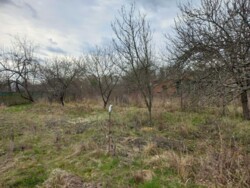 ��������� ������� �������, ³��������, ³������� ���� 1