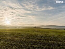 Продається будинок Вінницька, Вінниця, Бучми фото 2 Продається будинок Вінницька, Вінниця, Бучми фото 2