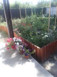 Продається будинок Вінницька, Вінниця, Пирогово, Корольова фото 16 Продається будинок Вінницька, Вінниця, Пирогово, Корольова фото 16