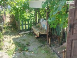 ��������� ������� ������, �����������, ³������� ���� 6