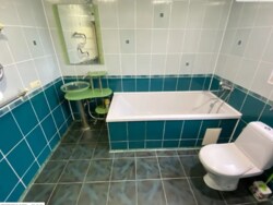 Продається будинок Вінницька, Вінницький, Хижинці, Івана Богуна фото 10 Продається будинок Вінницька, Вінницький, Хижинці, Івана Богуна фото 10