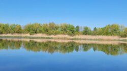 Продається будинок Вінницька, Барський, Підлісний Ялтушків, Черешнева фото 15 Продається будинок Вінницька, Барський, Підлісний Ялтушків, Черешнева фото 15