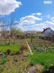 ��������� ������� ����������, ³�����, ³�������, �������� ���� 14