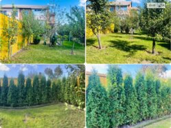 ��������� ������� ���������, ³�����, ³�������, �������� ���� 4