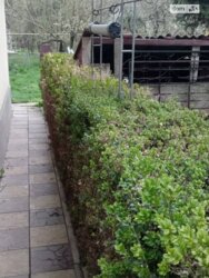 Продається будинок Вінницька, Вінниця, Академічний, Кооперативна фото 5 Продається будинок Вінницька, Вінниця, Академічний, Кооперативна фото 5