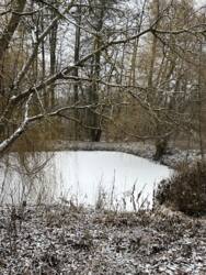 Продається будинок Вінницька, Тиврівський, Селище фото 17 Продається будинок Вінницька, Тиврівський, Селище фото 17