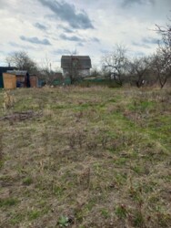 ��������� ������� �������, ³��������, ³������� ���� 2