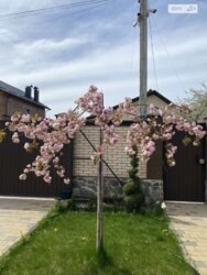 Продається будинок Вінницька, Вінниця, Центр, 1-й пров.Миколи Хвильового фото 3 Продається будинок Вінницька, Вінниця, Центр, 1-й пров.Миколи Хвильового фото 3