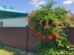 ��������� ������� ������, �����������, ³������� ���� 2