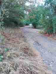 Продається будинок Вінницька, Немирівський, Остапківці фото 19 Продається будинок Вінницька, Немирівський, Остапківці фото 19