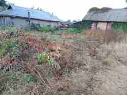 Продається будинок Вінницька, Немирівський, Остапківці фото 5 Продається будинок Вінницька, Немирівський, Остапківці фото 5